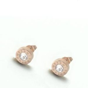 【耀眼美人】小奪目玫瑰金羅馬數字鋯石鑽鈦閃耀/鈦鋼耳環(過爐款/女王節/造型美容美感品味)